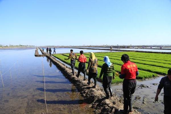 寧陽縣金慧水族館（寧陽縣金慧水族館電話）