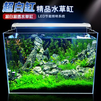 金晶魚缸品牌：金晶魚缸與普通魚缸對比金晶魚缸價格區間查詢