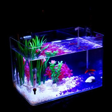 龍魚缸爆褐藻的處理方法（如何解決龍魚缸爆褐藻的問題）