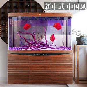 龍魚缸爆褐藻的處理方法（如何解決龍魚缸爆褐藻的問題）