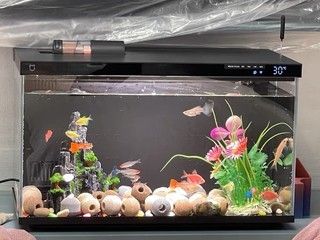 小米魚缸加熱棒多少瓦：小米智能魚缸專用加熱棒的選擇