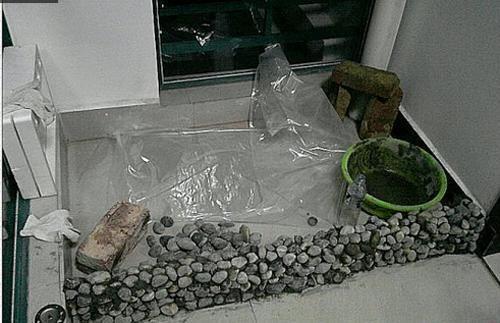 森森魚缸過濾器怎么使用（如何正確清洗魚缸過濾器）