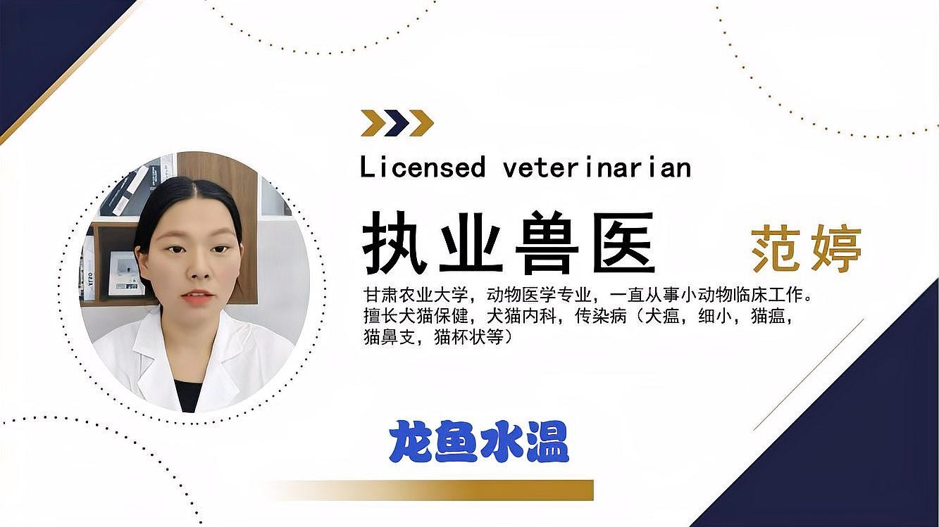 龍魚跳缸后沉頭怎么辦？