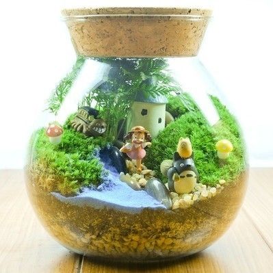 觀景小魚缸制作視頻教程：關于觀景小魚缸制作的視頻教程