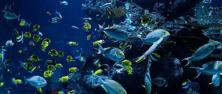 海州區智創水族館