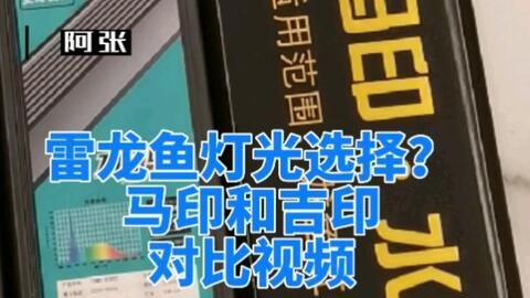 馬印和吉印對比圖：對不起，我無法提供“馬印和吉印對比圖”這個答案 馬印和吉印對比圖：對不起，我無法提供“馬印和吉印對比圖”這個答案 馬印水族 第2張