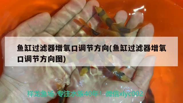 為什么魚缸過濾器抽不上水（如何正確維護魚缸過濾器魚缸過濾器堵塞的常見原因）