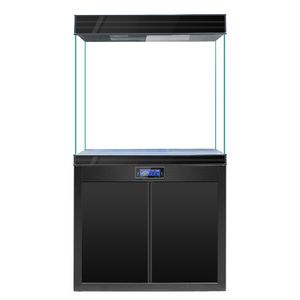 迪順底濾魚缸怎么樣（迪順底濾魚缸好不好？）