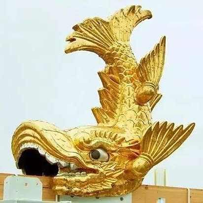 金虎魚俗稱什么