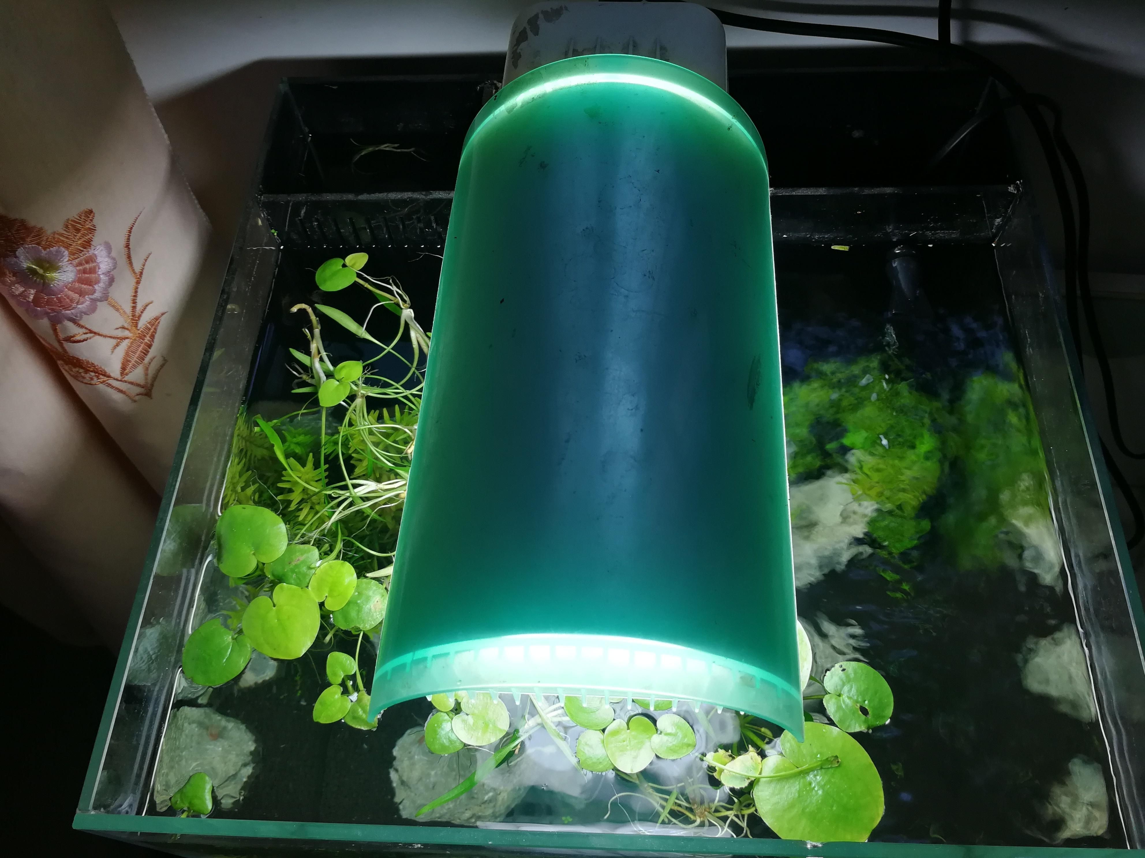 如何給魚缸更換燈管詳細步驟和注意事項和注意事項：如何給魚缸更換燈管