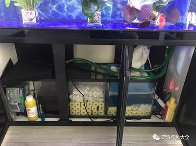 魚缸底濾魚缸底濾的優缺點分析魚缸底濾的優缺點分析：底濾魚缸不放濾材是不可取的