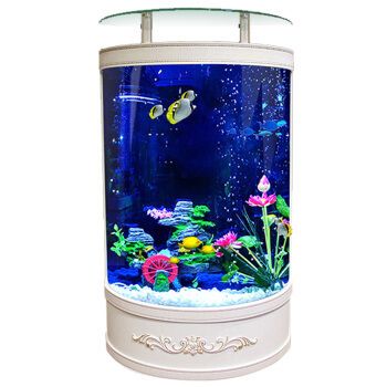 一米陽(yáng)光魚缸是雜牌子嗎：一米陽(yáng)光魚缸怎么樣？