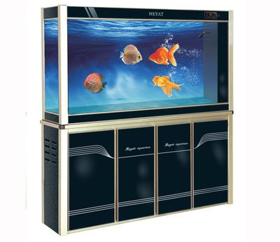 海陽(yáng)市水族市場(chǎng)分析：海陽(yáng)市多家店鋪銷售魚(yú)缸