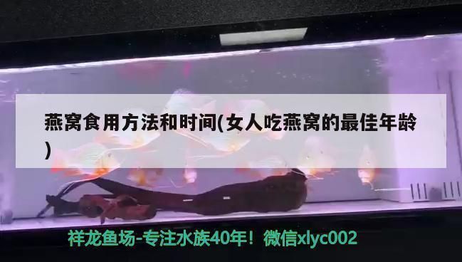 魚缸加熱棒哪個品牌，森森加熱棒使用體驗