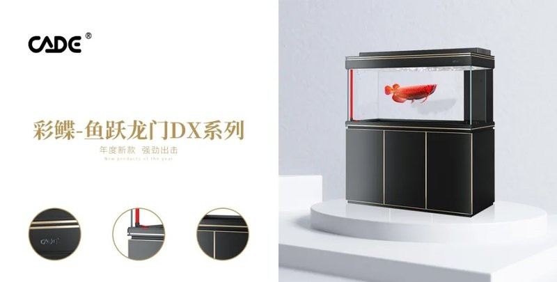 彩蝶最新款龍魚缸