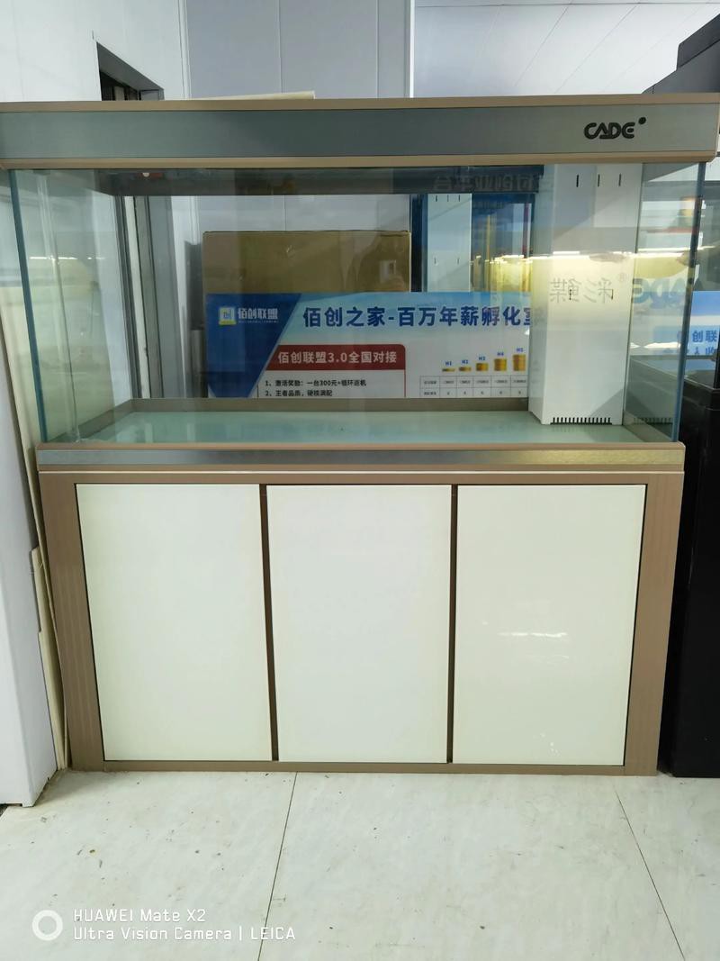 彩蝶最新款龍魚缸