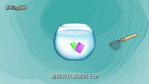 生石灰消毒魚(yú)缸的具體步驟？：生石灰消毒魚(yú)缸具體步驟如下：生石灰消毒魚(yú)缸的具體步驟 生石灰消毒魚(yú)缸的具體步驟？：生石灰消毒魚(yú)缸具體步驟如下：生石灰消毒魚(yú)缸的具體步驟 魚(yú)缸百科 第3張