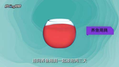生石灰消毒魚(yú)缸的具體步驟？：生石灰消毒魚(yú)缸具體步驟如下：生石灰消毒魚(yú)缸的具體步驟 生石灰消毒魚(yú)缸的具體步驟？：生石灰消毒魚(yú)缸具體步驟如下：生石灰消毒魚(yú)缸的具體步驟 魚(yú)缸百科 第1張