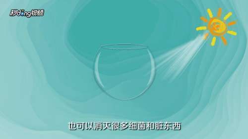 生石灰消毒魚(yú)缸的具體步驟？：生石灰消毒魚(yú)缸具體步驟如下：生石灰消毒魚(yú)缸的具體步驟 生石灰消毒魚(yú)缸的具體步驟？：生石灰消毒魚(yú)缸具體步驟如下：生石灰消毒魚(yú)缸的具體步驟 魚(yú)缸百科 第5張