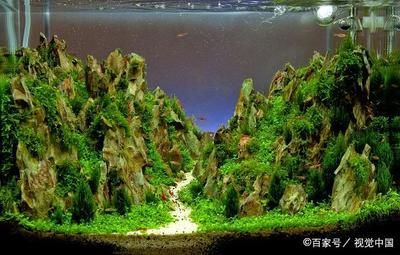 床頭擺魚缸好不好：床頭擺放魚缸有什么風水講究？