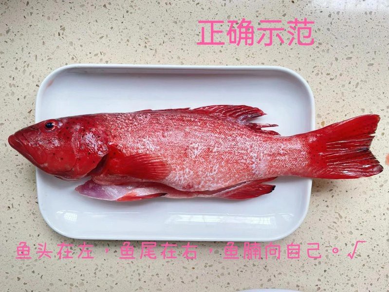 金龍魚圖案擺盤