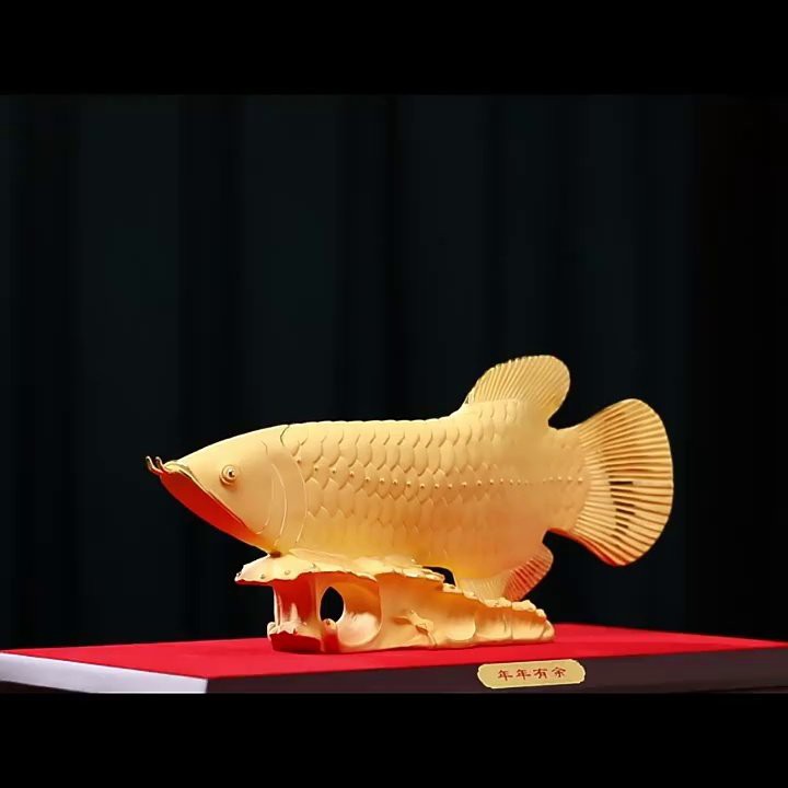 金龍魚圖案擺盤