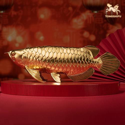 金龍魚圖案擺盤