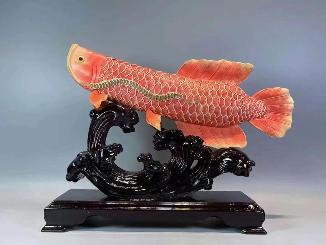 金龍魚圖案擺盤