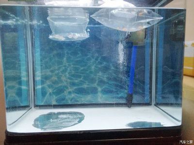 小魚牌魚缸生產廠家：鄭州浮陽水族公司歷史沿革小魚牌魚缸售后服務分析