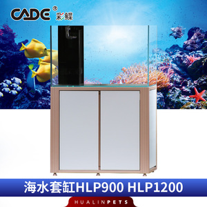 扎蘭屯市一品水族花卉店