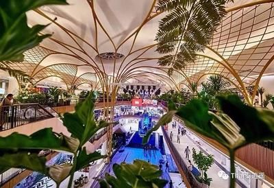 祥龍水族館品牌故事介紹:祥龍水族館品牌發(fā)展歷程 龍魚(yú)百科 第5張 祥龍水族館品牌故事介紹:祥龍水族館品牌發(fā)展歷程 祥龍水族館品牌故事介紹:祥龍水族館品牌發(fā)展歷程 龍魚(yú)百科 第5張