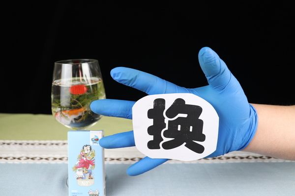 魚缸一個(gè)月不換水可以嗎，如何維護(hù)魚缸過濾系統(tǒng)魚缸水質(zhì)惡化的跡象