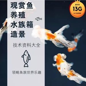 龍魚養殖技術教材電子版：龍魚養殖技術教材電子版教程