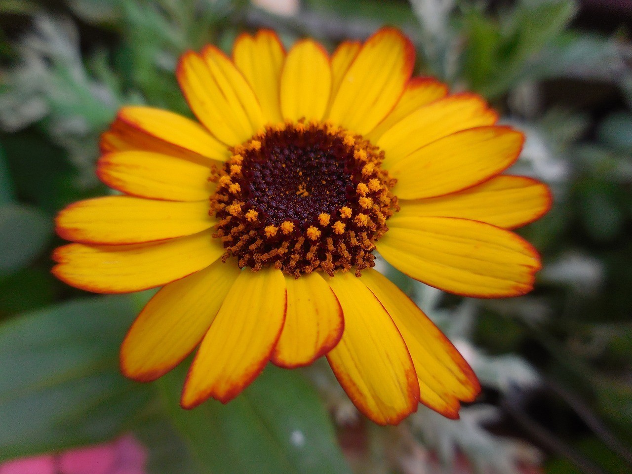 遼陽市白塔區(qū)博雅花卉經(jīng)銷處（遼陽市白塔區(qū)博雅花卉經(jīng)銷處電話）