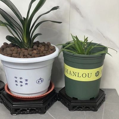 花盆改造魚缸的防水技巧：花盆改造的藝術與技巧