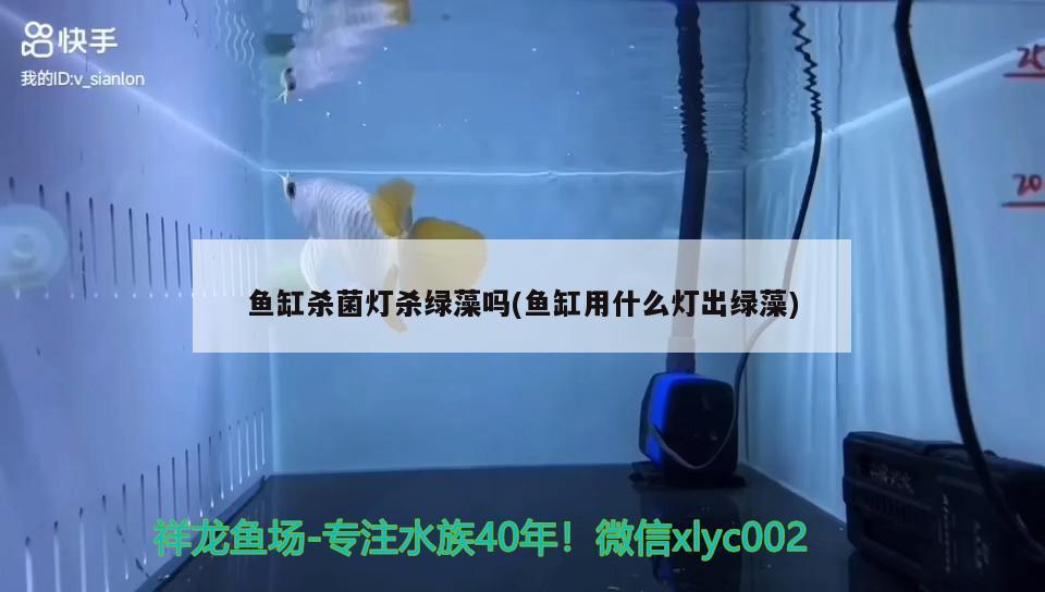 六安市葉集區佳璐水族館