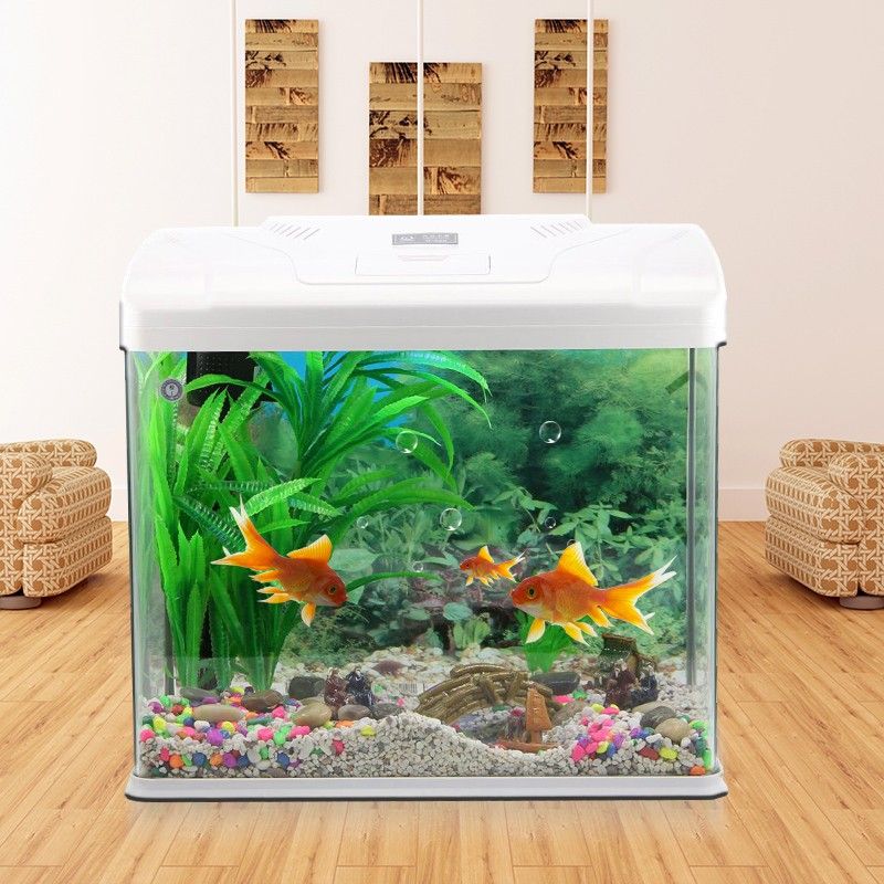 魚缸博宇：博宇魚缸品牌介紹