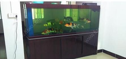 魚缸擺放如何影響家居運勢：魚缸擺放位置和方向有許多禁忌，八字五行選魚缸最佳方位