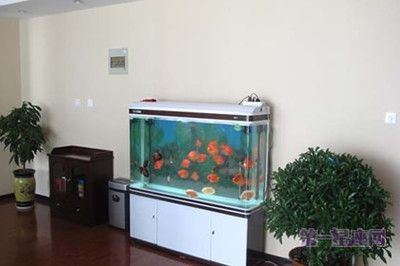 魚缸擺放如何影響家居運勢：魚缸擺放位置和方向有許多禁忌，八字五行選魚缸最佳方位