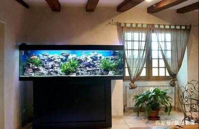 魚缸擺放如何影響家居運勢：魚缸擺放位置和方向有許多禁忌，八字五行選魚缸最佳方位