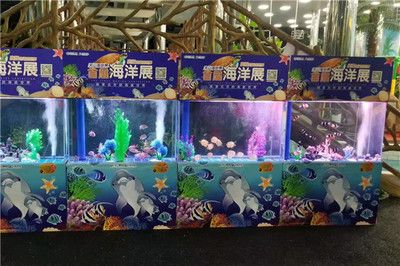 海星魚缸是一種適合養(yǎng)殖海星的容器，揭秘海星魚缸的養(yǎng)殖建議：揭秘海星魚缸與淡水養(yǎng)殖