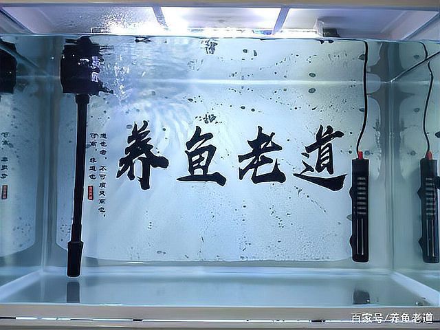 上過濾魚缸能養龍魚嗎