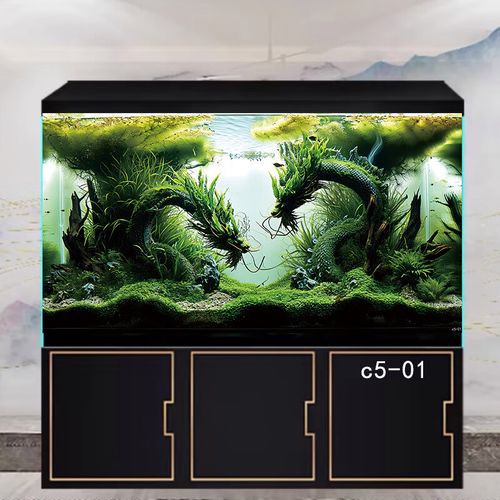 如何選擇龍魚缸的背景材質？