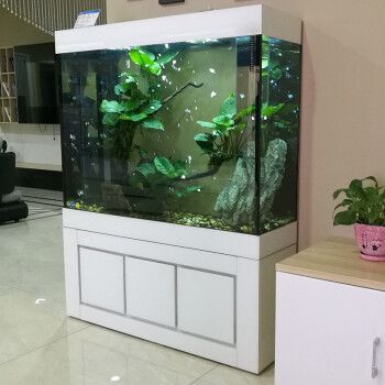 江彩魚缸生產廠家有哪些地方：江彩魚缸生產廠家