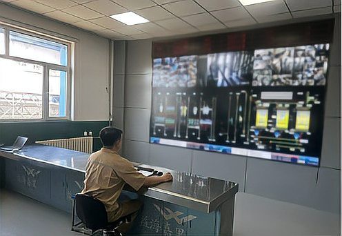 金龍魚各生產基地的自動化程度如何？