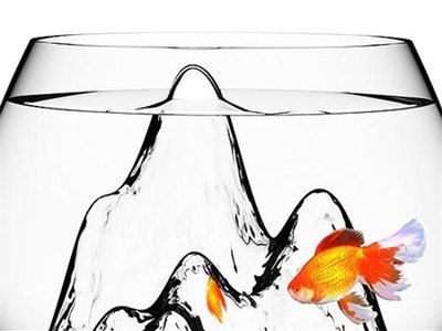 國畫魚缸的寓意是什么？：國畫魚缸寓意著吉祥如意、吉祥如意、吉祥如意、吉祥如意