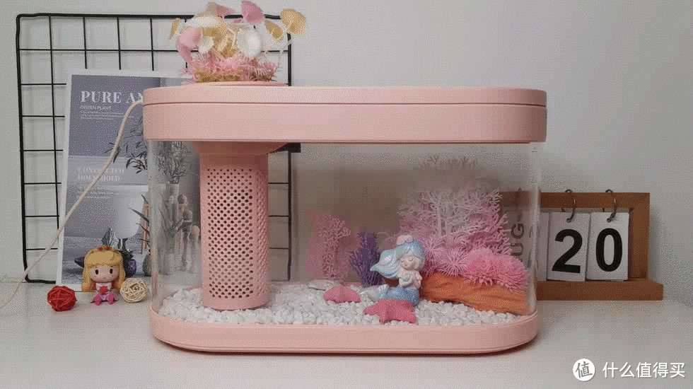 畫法幾何魚缸的工作原理畫法幾何魚缸的工作原理畫法：養魚技巧與設備維護