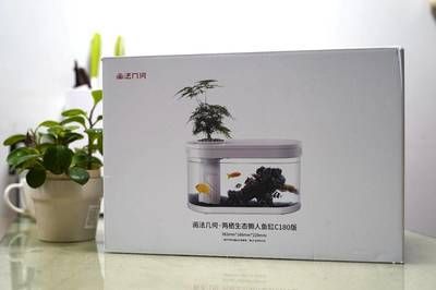 畫法幾何魚缸的工作原理畫法幾何魚缸的工作原理畫法：養魚技巧與設備維護