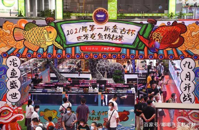 廣州哪里有金龍魚賣呀圖片價格