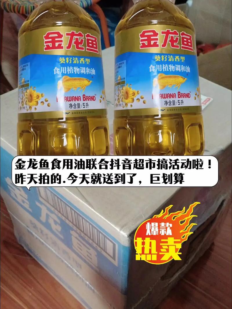 廣州哪里有金龍魚賣呀圖片價格